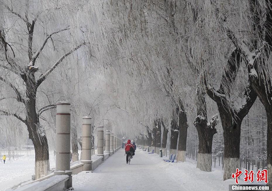 Красивые изморози в городе Чанчунь