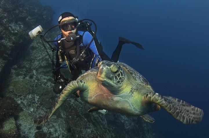 Десять замечательных фотографий от National Geographic