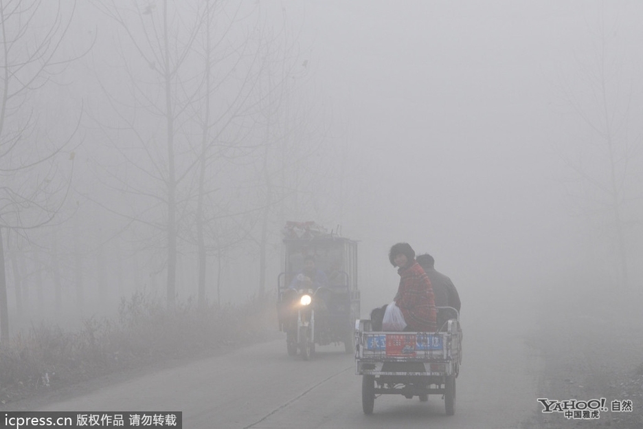 Ужасающие фото проблемы загрязнения воздуха в разных странах?
