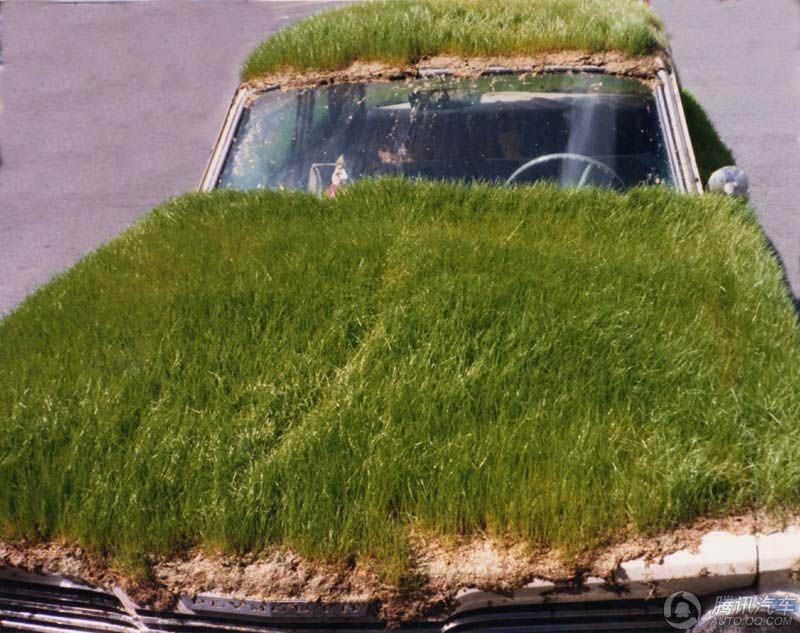 Оригинальные «травяные» машины