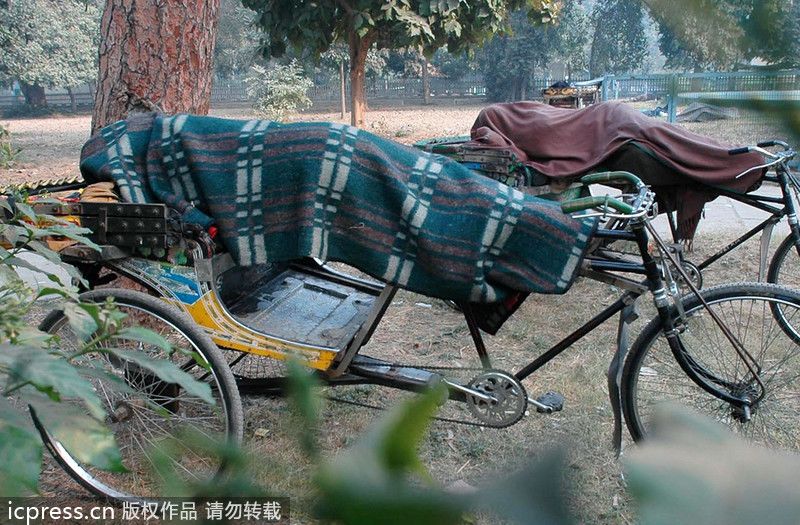 Фото: Трудная жизнь велорикш Индии