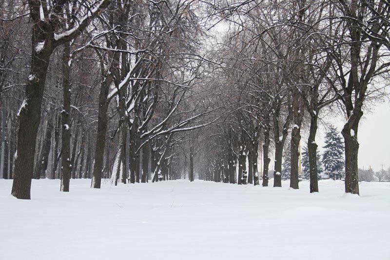 Москва после снегопада