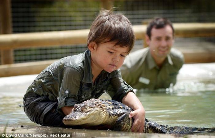 3-летний австралийский мальчик игрался в воде с крокодилом