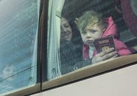 77 россиян, пожелавших покинуть Сирию, вылетели из Бейрута на родину