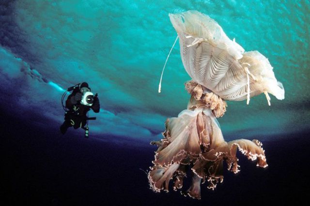 Смешные и забавные фотографии№'