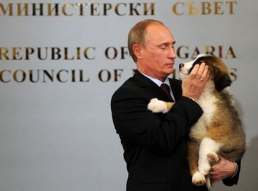 Фотосессия: Владимир Путин, мастер на все руки!