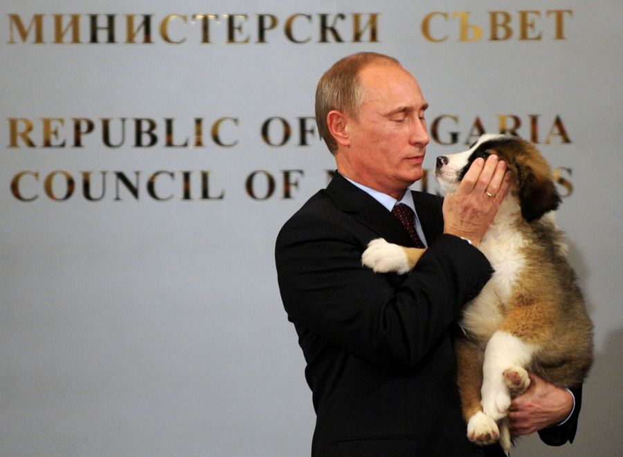 Фотосессия: Владимир Путин, мастер на все руки! 