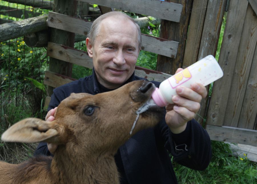 Фотосессия: Владимир Путин, мастер на все руки! 