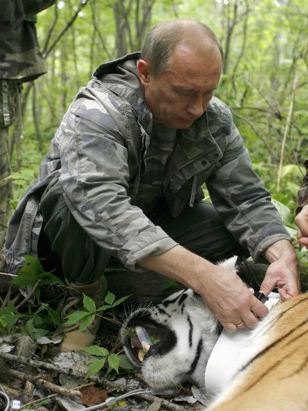 Фотосессия: Владимир Путин, мастер на все руки! 