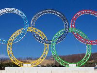 Утверждено положение о продаже билетов на Олимпиаду-2014 -- правительство РФ