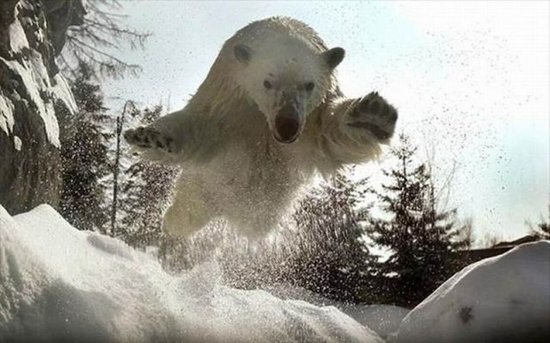 Фото: 40 шокирующих моментов