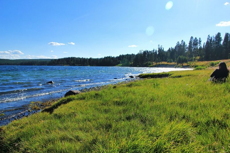Красивые пейзажи Йеллоустонского национального парка