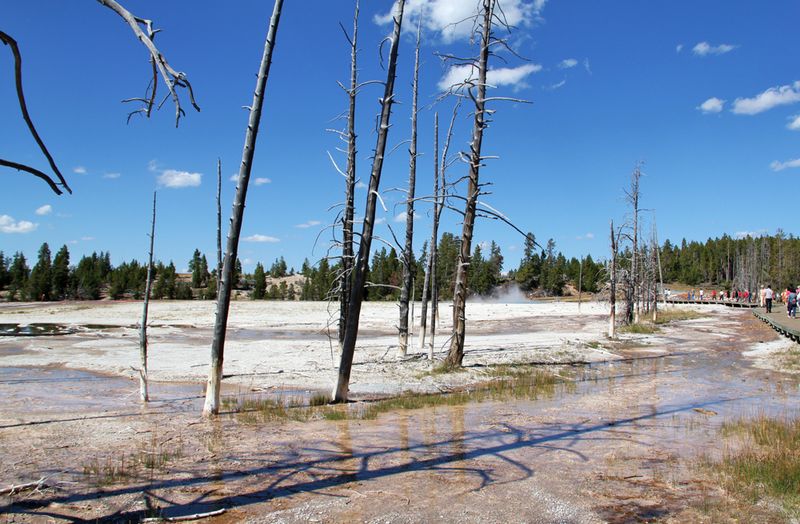 Красивые пейзажи Йеллоустонского национального парка