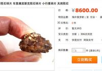 Осколки челябинского метеорита появились в китайском интернет-магазине Taobao 