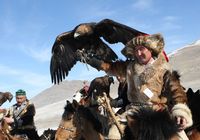 В Монголии проходит фестиваль ловчих соколов 