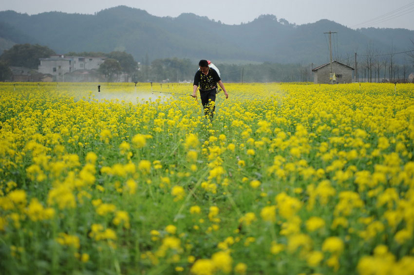 Фото: «Красивый Китай» преображает окружающую среду
