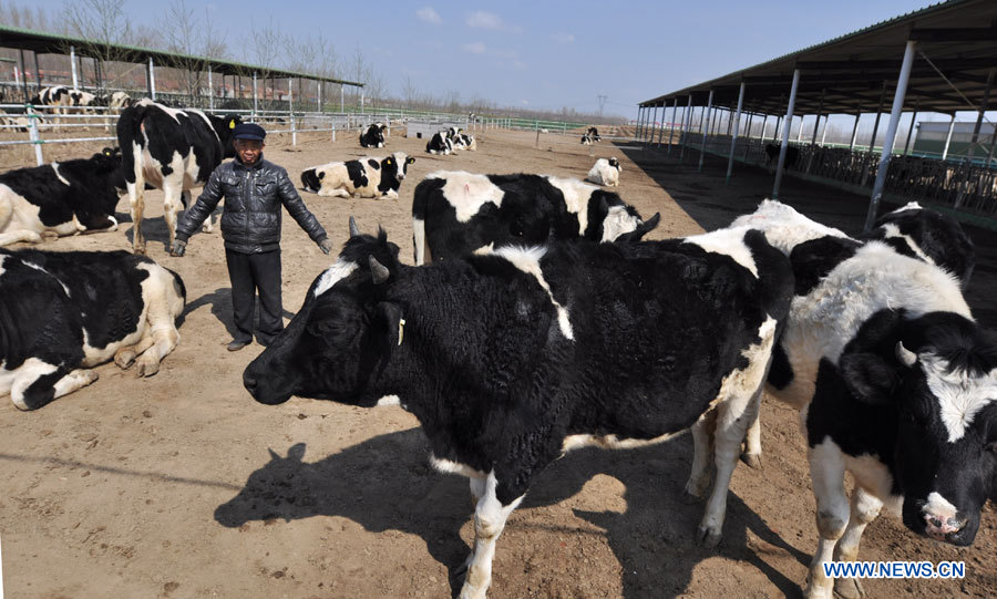Посещение экологической фермы в Биньчжоу