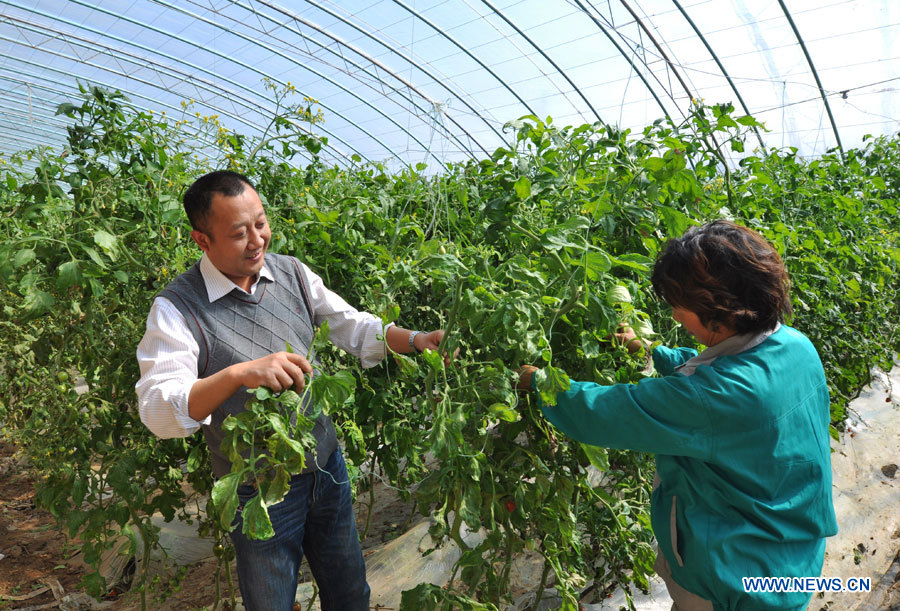 Посещение экологической фермы в Биньчжоу