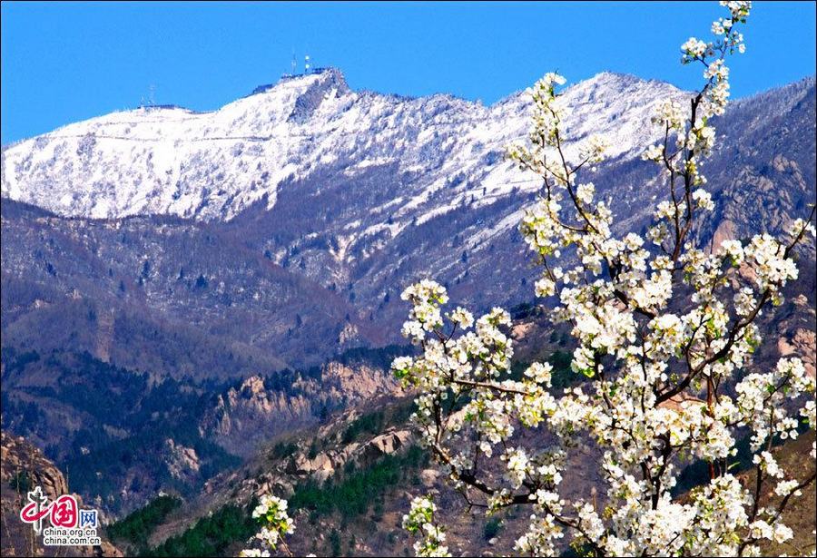 Ранняя весна в горах Улиншань