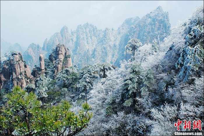 Путешествие по Китаю: красивые цветы персика на горах Хуаншань привлекают туристов
