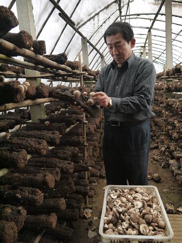 Район Чжоуцунь Цзыбо: «Семейный бизнес» расширяется