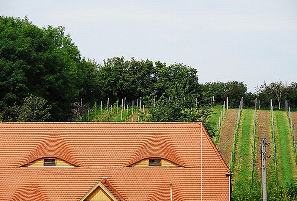 Мимика архитектурного пространства4