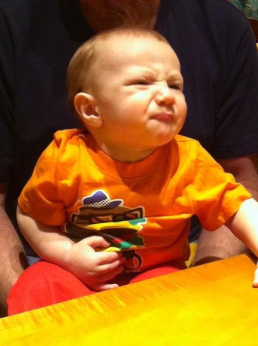 Коллекция смешных фотографий9