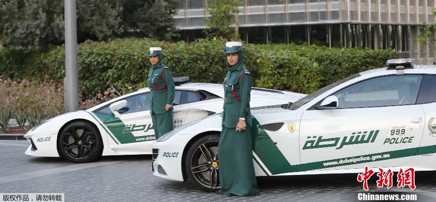 Фото: Полиция Дубая продемонстрировала новые Lamborghini Aventador