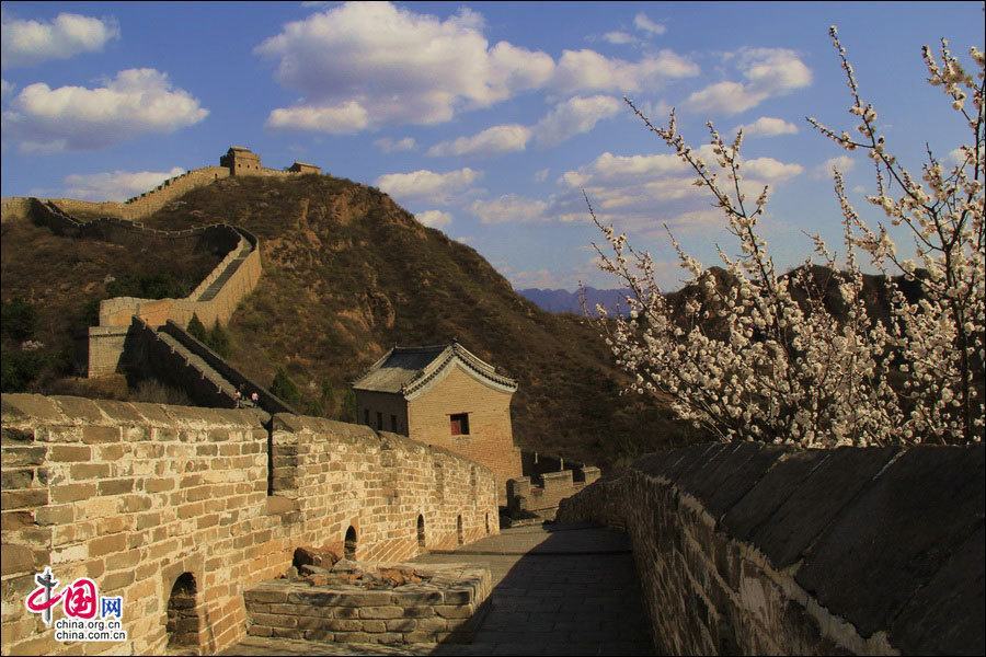 Весенние пейзажи на участке Великой китайской стены Цзиньшаньлин