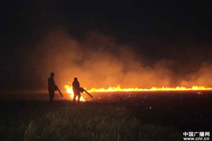 На китайско-российско-монгольской границе начался сильный пожар