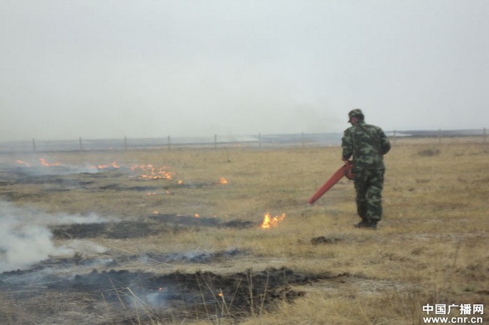 На китайско-российско-монгольской границе начался сильный пожар