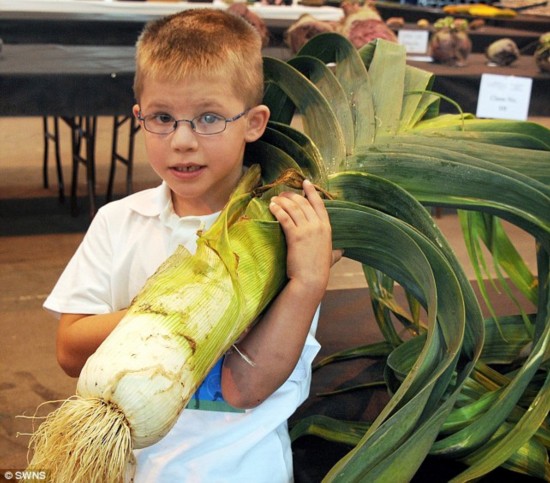 Фото: Овощи-гиганты