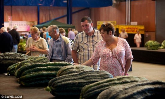 Фото: Овощи-гиганты