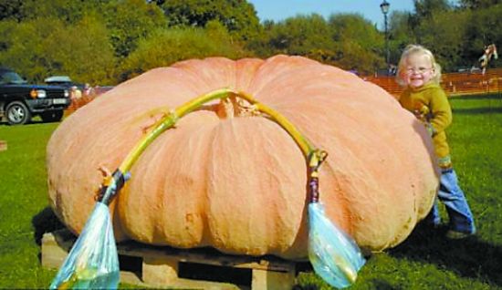 Фото: Овощи-гиганты