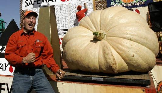 Фото: Овощи-гиганты