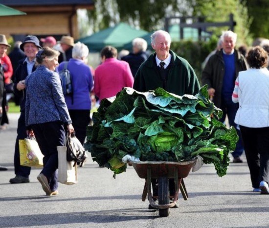 Фото: Овощи-гиганты