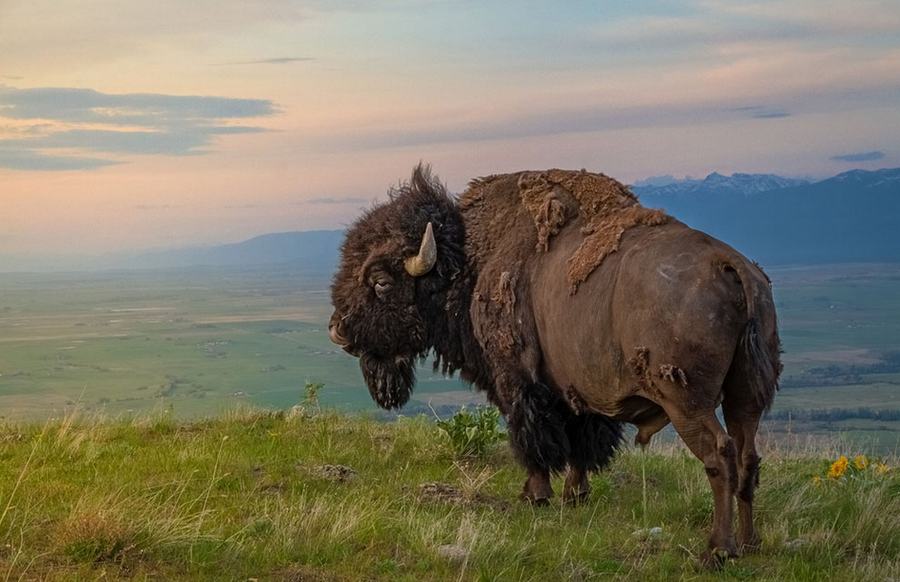 Отличные работы фотоконкурса Журнала «National Geographic Traveler»