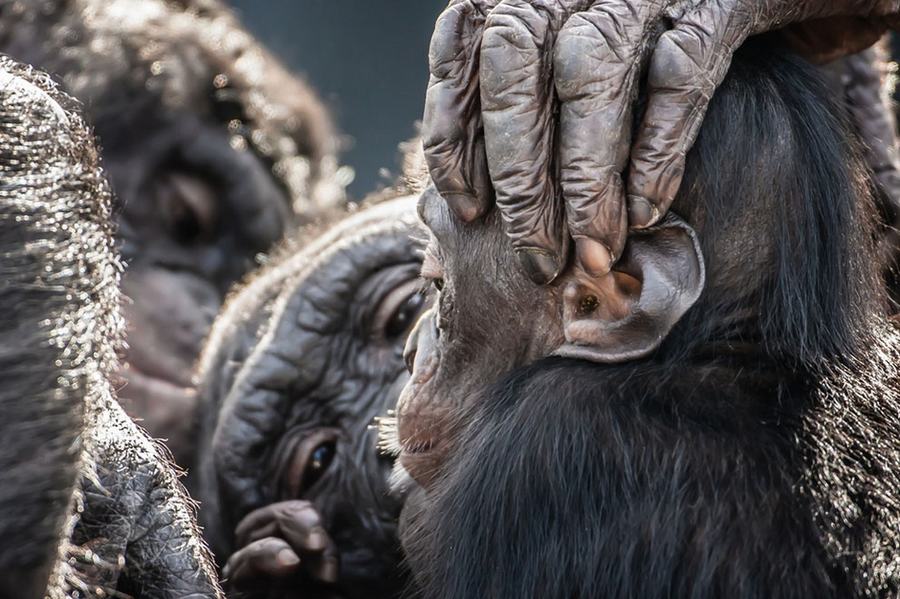 Отличные работы фотоконкурса Журнала «National Geographic Traveler»