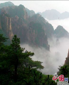 Сказочное облачное море в горах Хуаншань в начале лета
