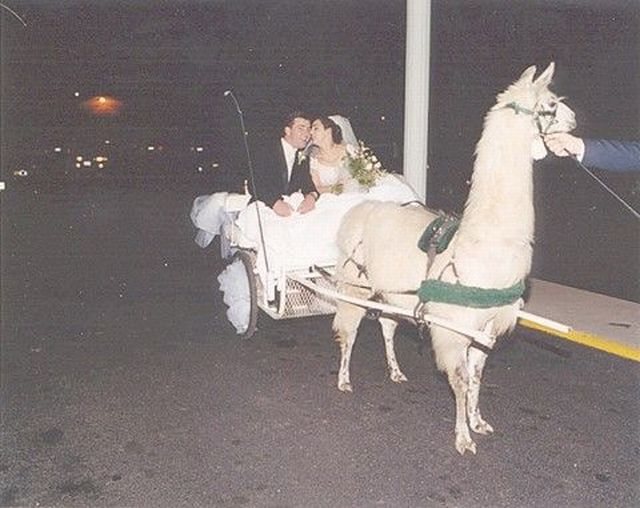 26 шокирующих фото