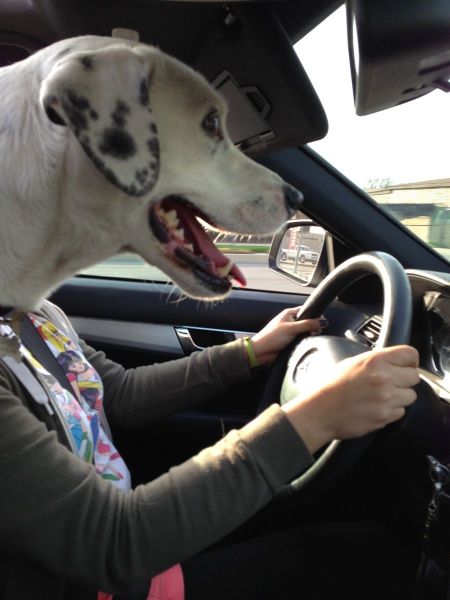 26 шокирующих фото