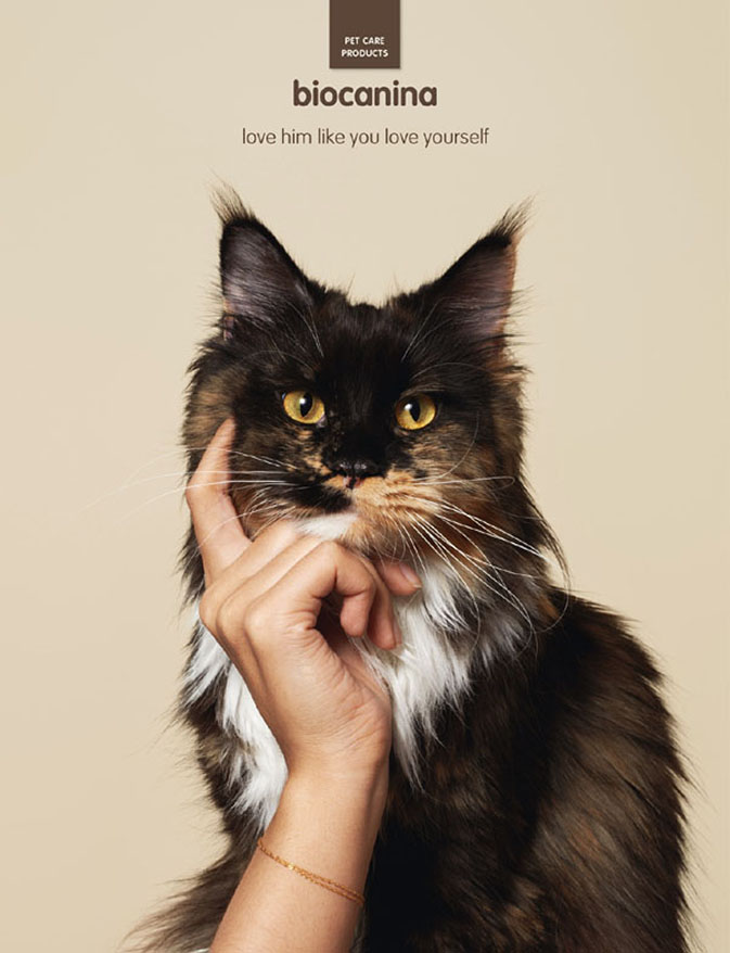 Креативная реклама бренда Biocanina : уход за домашними животными