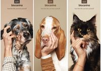 Креативная реклама бренда Biocanina : уход за домашними животными