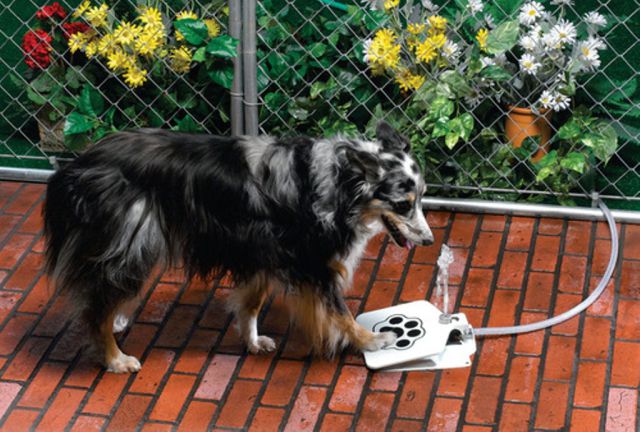 Оригинальные изобретения