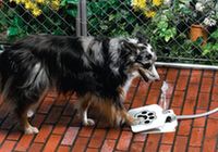 Оригинальные изобретения