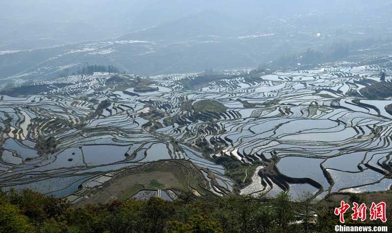 Поля на террасах в Хани на юго-западе Китая внесены в список всемирного наследия ЮНЕСКО