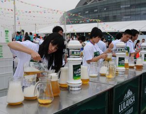 Международный фестиваль пива Люйланьша 2013 завершился в спортивном центре города Цзыбо