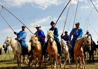 Фото: Традиционный монгольский праздник Наадам посвящен культуре верховой езды 