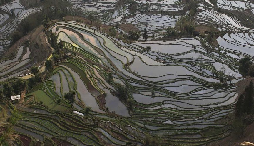 Очаровательные поля на террасах в Хани на юго-западе Китая