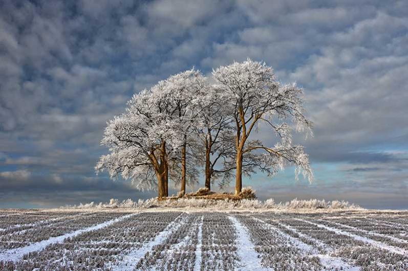 Прекрасные произведения фотоконкурса от «Landscape Photographer of the Year Awards»